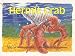 Hermit Crab (PM Story Books Yellow Level)