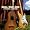 Songs of Wood &amp; Steel bei MP3-Downloads zum Namen: 51x9qI%2BukeL._SL30_