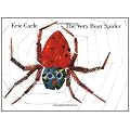 The Very Busy Spider