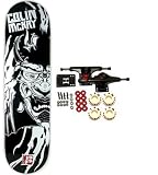 Plan B MCKAY SAMURAI Complete Skateboard