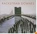 Rackstraw Downes