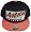 Houston Astros