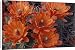 Canvas Prints of NA, USA, Arizona, from Danita Delimont