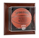New Orleans Hornets Framed Wall Mounted Logo Basketball Display Case