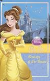 Disney Princess Chapter Book - Beauty and the Beast