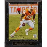 NFL Tampa Bay Buccaneers #82 Kellen Winslow Jr. 10.5'' x 13'' Throwback Player Plaque