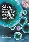 Cell and molecular biology and imaging of stem cells