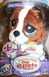 Rescue Pets My Epets Papillon Dog