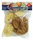 Pro Art Combo Sponge Set, 1 Silk Sponge, 1 Wool Sponge and 2 Grass Sponge