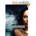 Die Sturmk�nige - Dschinnland: Roman