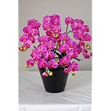 ���i�̏ڍ�