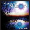 Still Gazing at the Moon