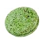 Squeaky Green Solid Shampoo by LUSH