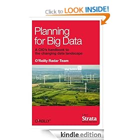 Planning for Big Data