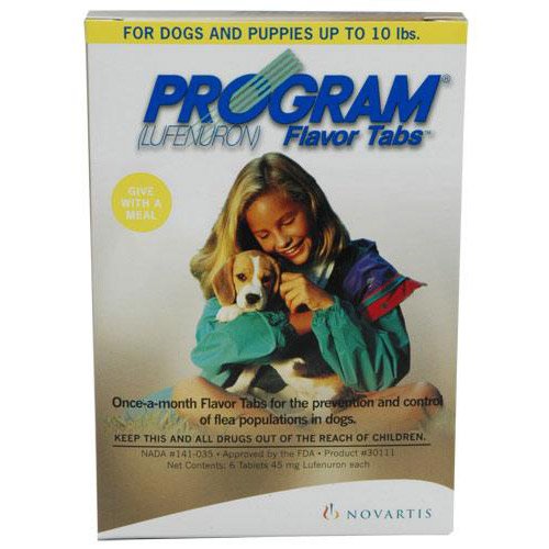 Program - 0 - 10 pound Dogs