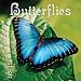 Search : 2011 Butterflies Calendar