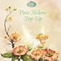 Pixie Hollow Pop-Up (Disney Fairies)