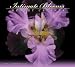 Search : Robert Creamer Intimate Blooms 2010 Linen Wall Calendar