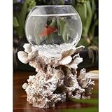 Betta Treasures Blue Lagoon Fossilized Coral Aquarium 51xBfgQrgzL. SL160 Betta Treasures Blue Lagoon Fossilized Coral Aquarium