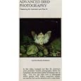 Buy Advanced Bird Photography