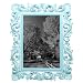 Kitchen & Housewares : Antique Fleur-de-Lis Frame - Blue (5x7")