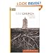 Total Church: A Radical Reshaping around Gospel and Community (Re: Lit Books)