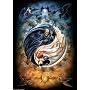 Heye - 29279 - Puzzle - Dualism - Alchemy Puzzle C&hellip de Heye