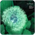 Albums Under £3.99