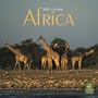 Africa 2010 Square Wall (Multilingual Edition)