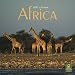 Africa 2010 Square Wall (Multilingual Edition)