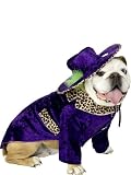 Cool Dog Pet Costume