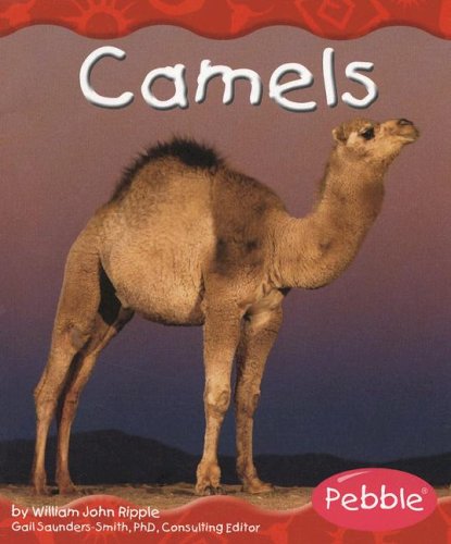 Camels