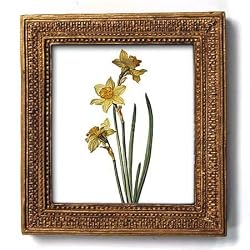Daffodil, German School, circa 1790 - Gold Frame Magnet with pop-out easel (2-3/4" x 2-1/2")