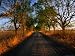 A Corrugated Dirt Road Through Farm Land in the Western District, Noorat, Victoria, A...
