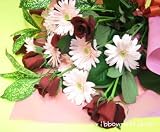 �y�M�t�g�E���蕨�Ɂz�K�[�x���ƃo���̉ԑ�FL-SE-09