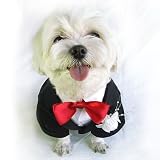 3-piece Dog Tuxedo