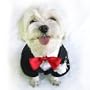 3-piece Dog Tuxedo