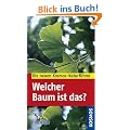 Welcher Baum ist das?