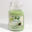 Yankee Candle - Vanilla Lime 22oz