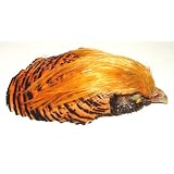 Red Golden Pheasant Head Feathers (Whole Head & Neck)