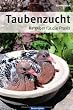 tauben