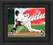 Framed Pablo Sandoval San Francisco Giants 8x10 Photo
