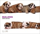 2009 Bulldogs Artlist Deluxe Wall Calendar 2009 Bulldogs Artlist Deluxe Wall Calendar