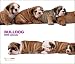 2009 Bulldogs ARTLIST Deluxe Wall Calendar