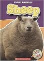 Sheep (Farm Animals, Blastoff Readers Level 1) (Reinforced Hardcover)