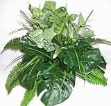 Review Silk Plants Plus.com 2480129 / 15