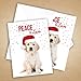 Canopy Street Labrador Love Holiday Card Pack / 25 Cards And Envelopes Pack/Festive Santa Hat Puppy Design With Greeting Inside/Dog Christmas And New Year Cards