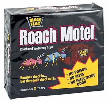 BLK FLG ROACH MOTEL