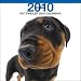 rottweiler4 - Rottweiler 2010 Wall Calendar
