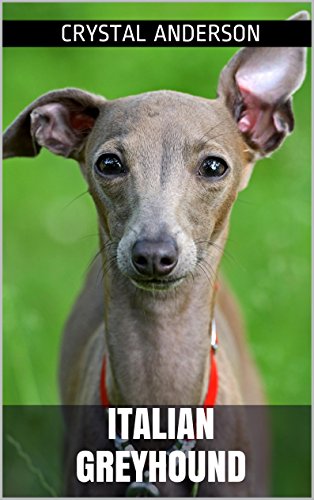 Italian Greyhound: How to Own, Train and Care for Your Italian Greyhound